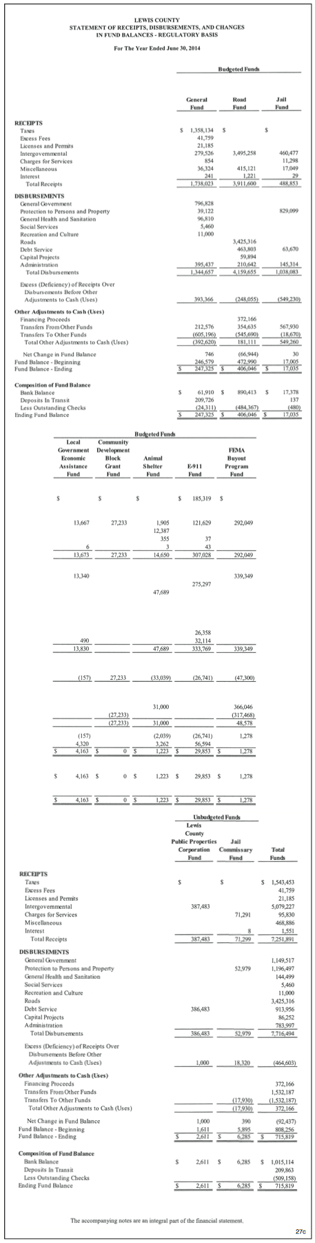 Lewis County financial statement 2013-14